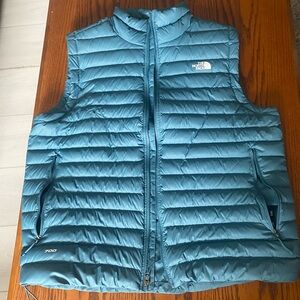The North Face 700 fill Quilted Vest